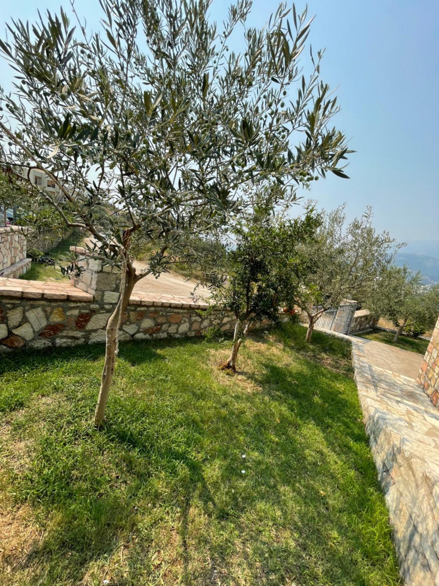 Belvedere Hotel & Suites Himare Exterior photo