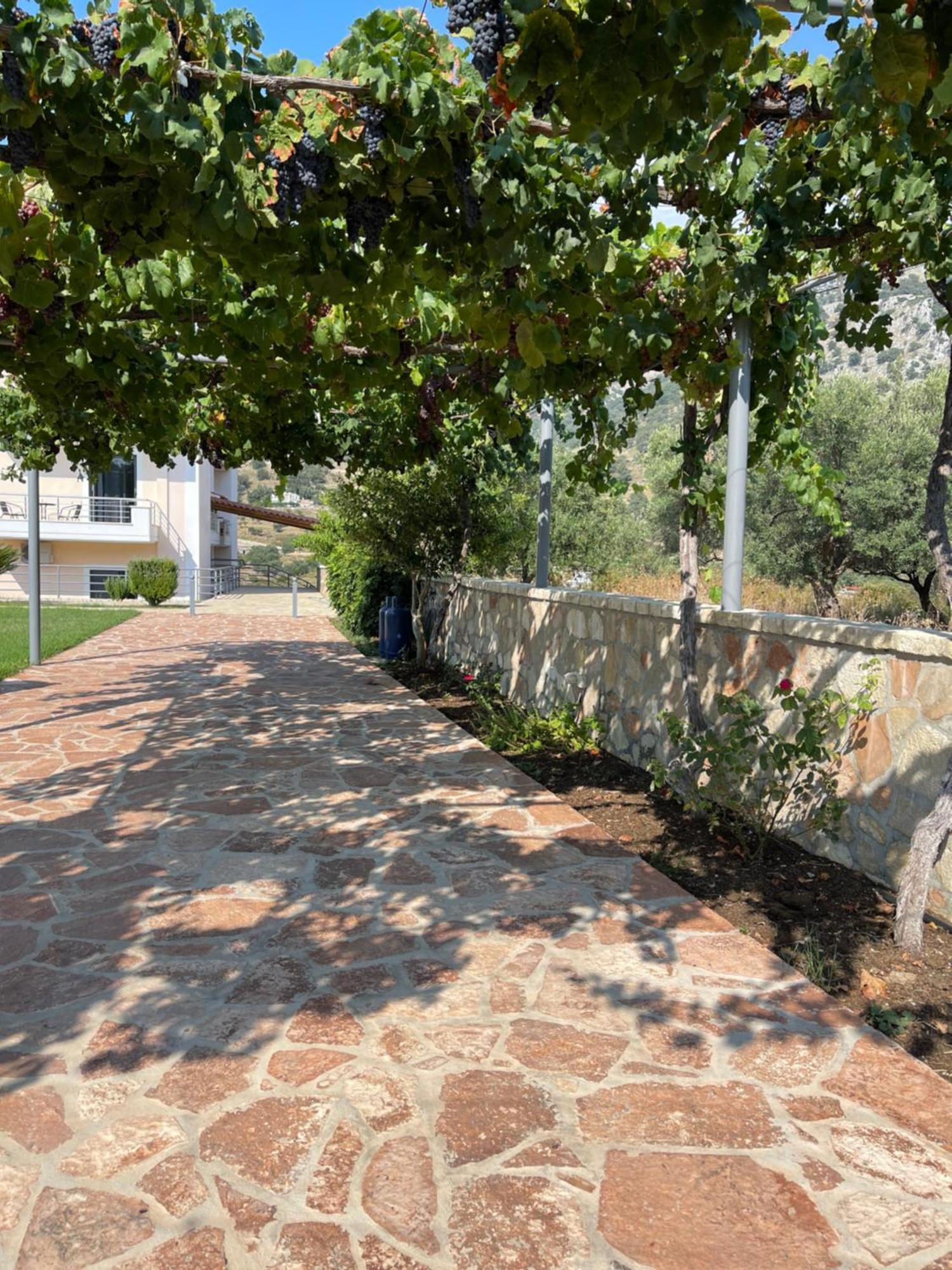 Belvedere Hotel & Suites Himare Exterior photo